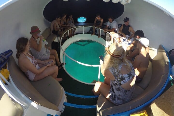 5 tours in 1 (Eco Farm/Horseback/City Tour/Buggy/Zipline)