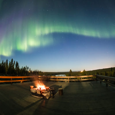 Iltaporosafari arktisen taivaan alla - Image 8