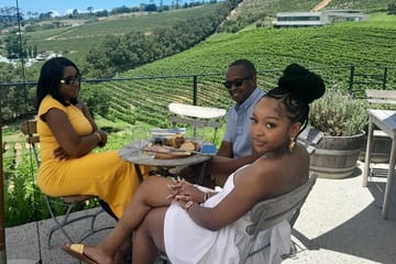 Constantia Wine Tasting and Kirstenbosch Garden Tour in Cape Town
