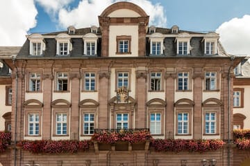 Heidelberg Old Town Walking Tour with River Views and History