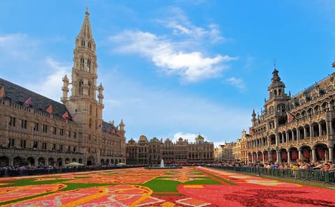 Private Half-Day Cultural Tour of Brussels Highlights