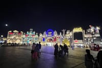 Miracle Garden & Global Village Entrance with Transportation  6