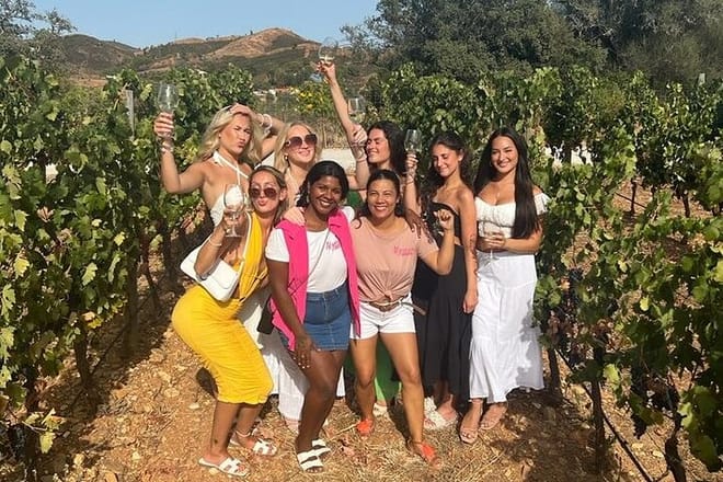 vineyard walk