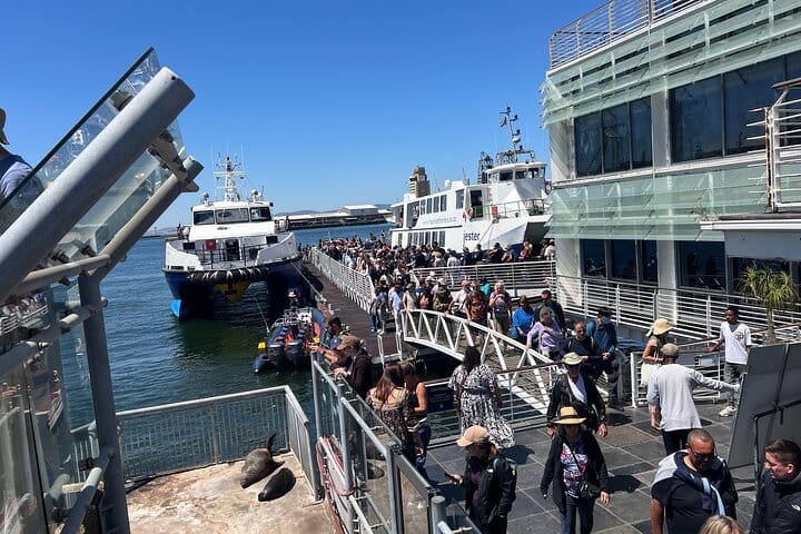 Robben Island Museum Ticket Ferry Half Day Tour