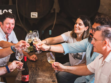 From Cordoba: Lunch in wineyard and wine tasting