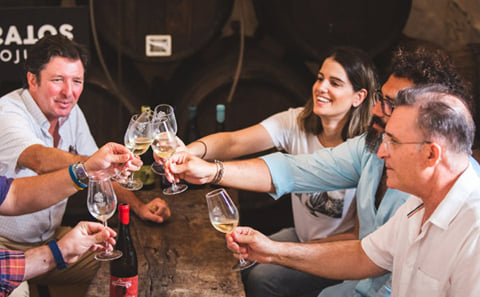 From Cordoba: Lunch in wineyard and wine tasting