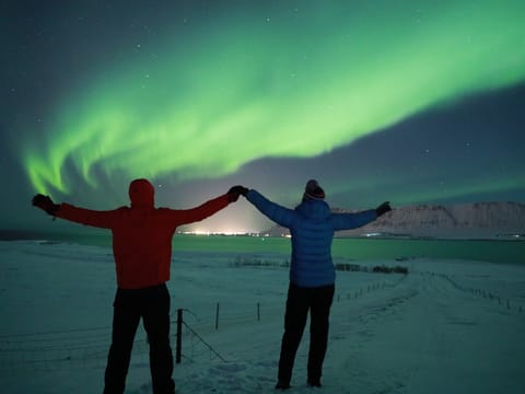 Golden Circle, Secret Lagoon & Northern Lights Tour, photo 3