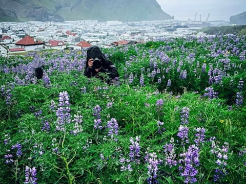 Vestmannaeyjar - The Westman Islands, photo 11