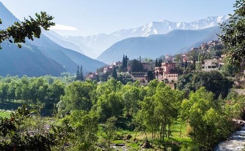 Private Day Trip to Atlas Mountains and Waterfalls from Marrakech