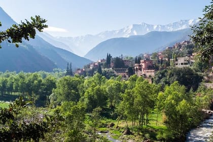 Private Day Trip from Marrakech: Atlas Mountains & Waterfalls