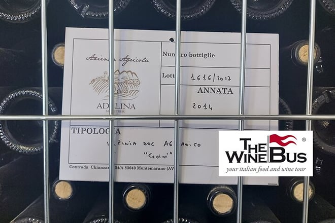 Half-Day Irpinia Wine Tour from SALERNO - Photo 6