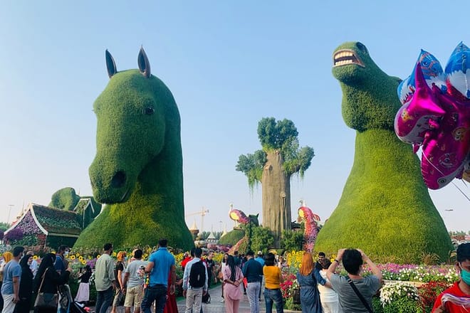 Miracle Garden Global Village with Transportation from Fujairah photo 6