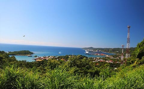 Roatan Highlights and Beach Day at Sol y Mar Club