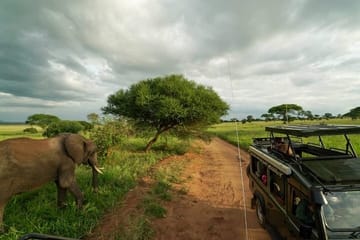 6Days Lake Manyara Serengeti Ngorongoro &Tarangire Budget Safari