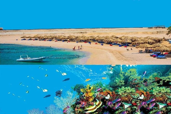 Sharm El Naga Day Snorkeling Trip &amp; Lunch By Car - Hurghada