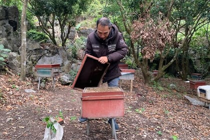 Easy Rider Cat Ba – National Park & Caving