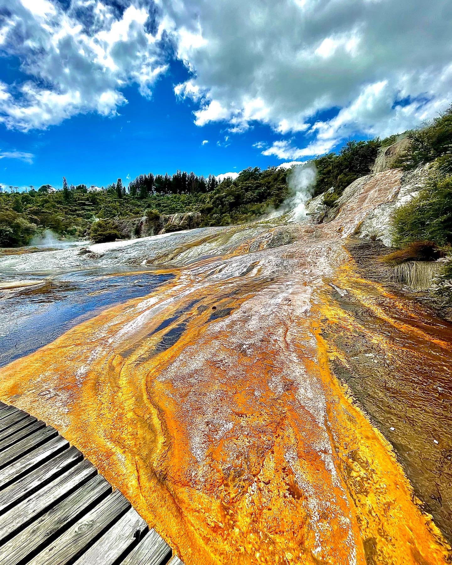 ORAKEI KORAKO GEOTHERMAL PARK & HUKA FALLS RIVER CRUISE, TAUPO - PREMIUM COMBO - DAY TOUR FROM AUCKLAND