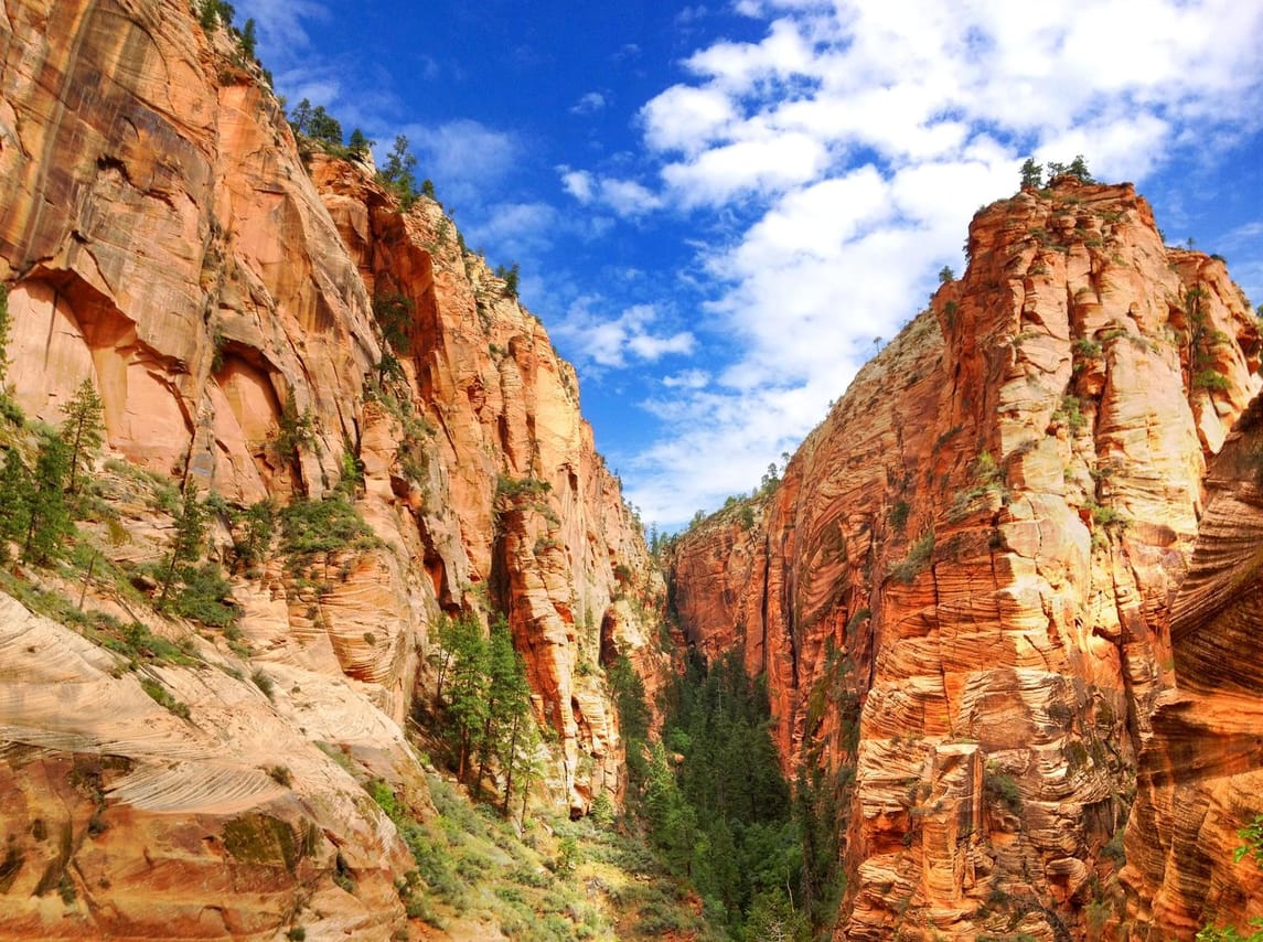 Towering red cliffs of Zion