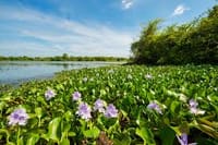 Leisure at Mud House and Mannar Story 07 Nights and 08 Days 6