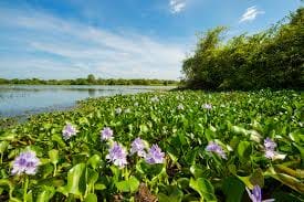 Leisure at Mud House and Mannar Story 07 Nights and 08 Days 6