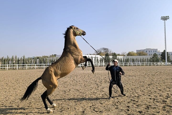 Cultural Journey Across Turkmenistan