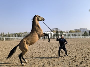 Cultural Journey Across Turkmenistan