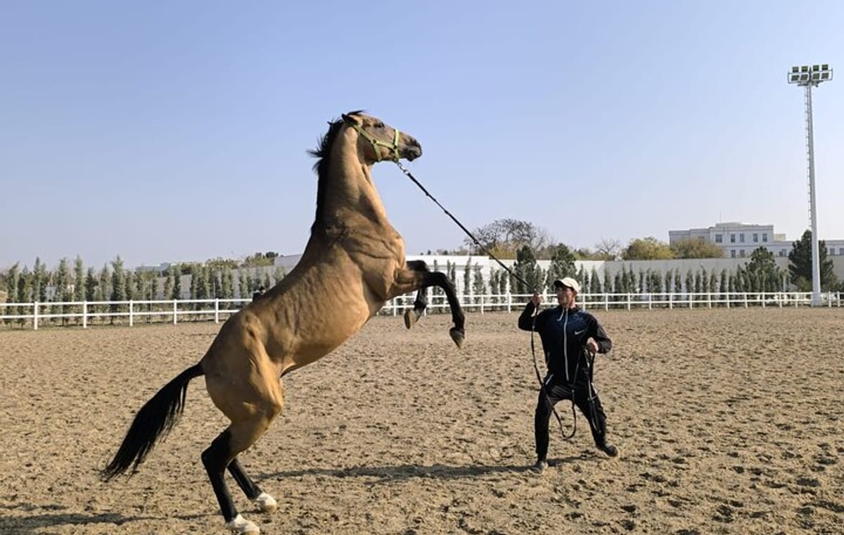 Cultural Journey Across Turkmenistan