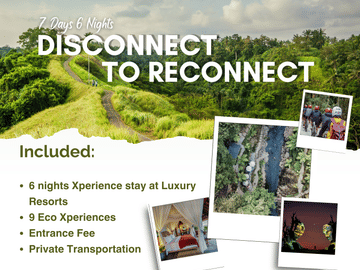 Borobudur – Prambanan Private Tour