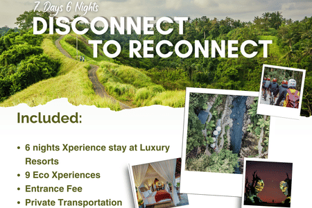 7 DAYS 6 NIGHTS BALI DISCONNECT TO RECONNECT