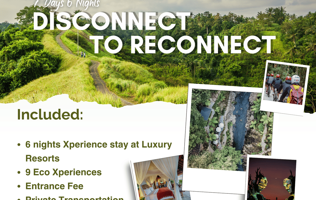 7 DAYS 6 NIGHTS BALI DISCONNECT TO RECONNECT