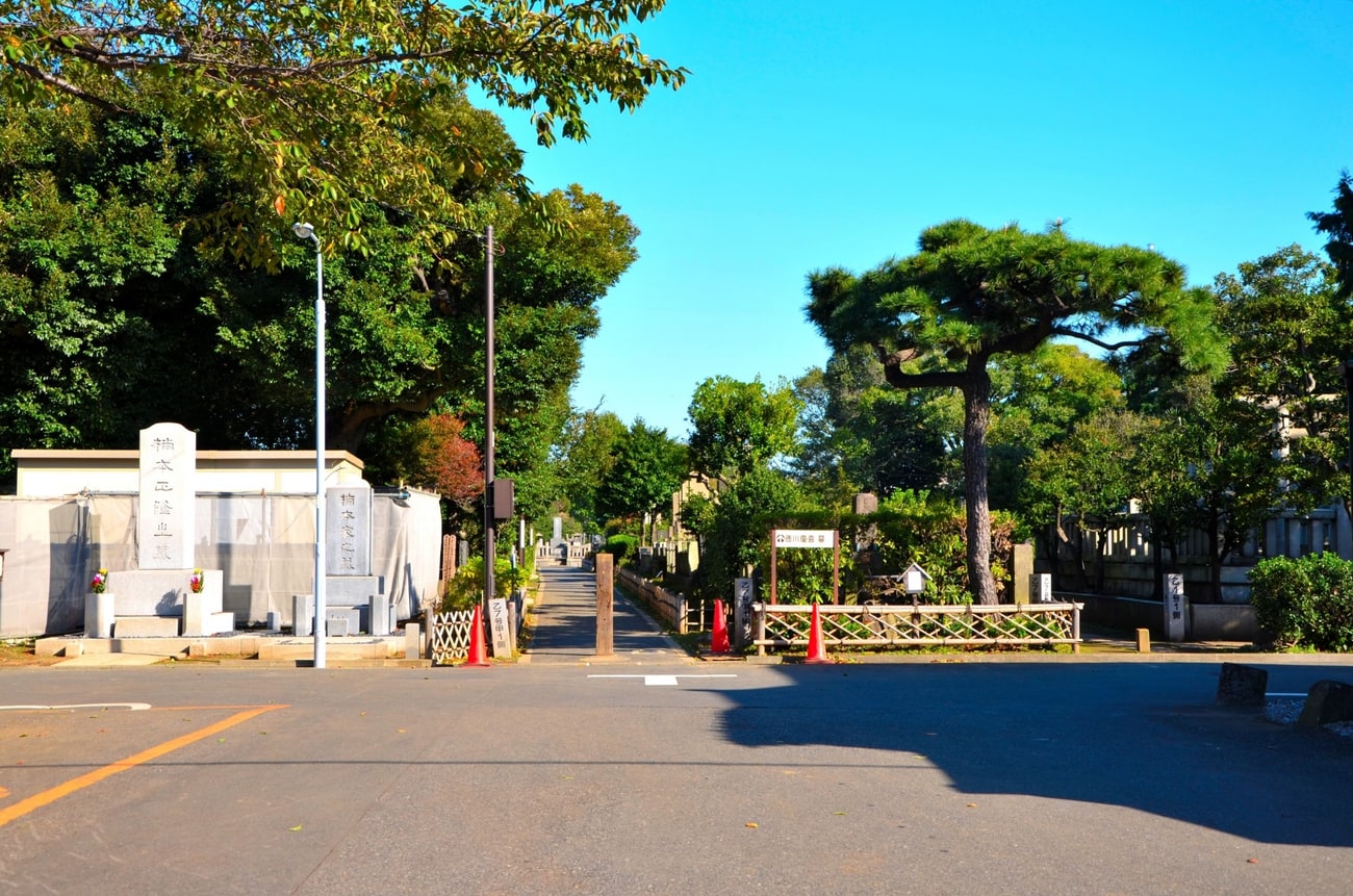Yanaka Cemetery beneath green trees