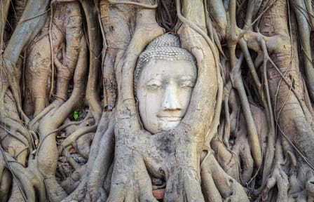 Private 10-Day Cultural Tour of Chiang Rai, Thailand