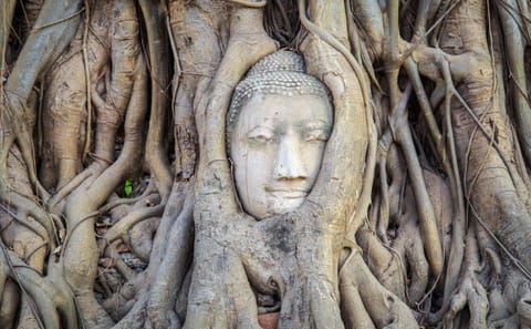Private 10-Day Cultural Tour of Chiang Rai, Thailand
