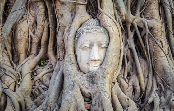 Private 10-Day Cultural Tour of Chiang Rai, Thailand