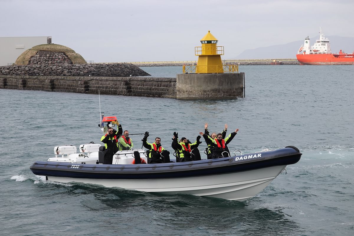 RIB Whale Watching Adventure: Close Encounters in Reykjavik