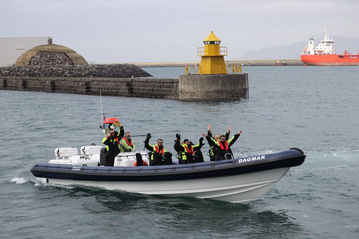 RIB Whale Expedition: 2-Hour High-Speed Adventure, by Reykjavik Sailors