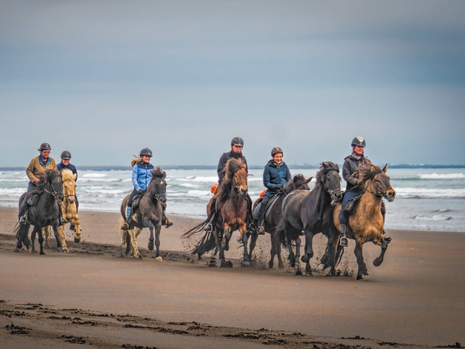06A - The Beach Ride — Eldhestar