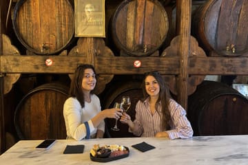 Evening Wine Tasting Tour at Local Wineries in Athens