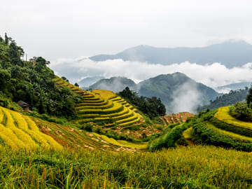 Trekking the Terraced Fields of Hoang Su Phi, Vietnam - 4 Days