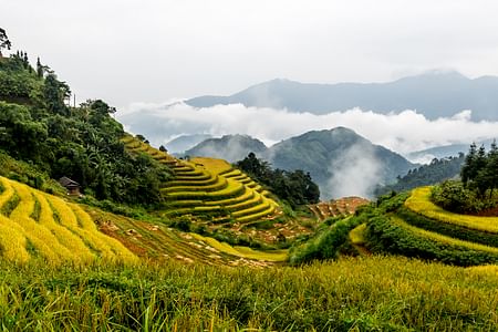 Trekking Adventure in Hoang Su Phi: Explore Hidden Rice Fields