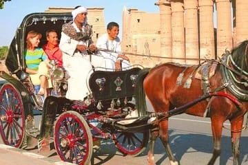 Private Horse Carriage Tour of Luxor's Historic Streets