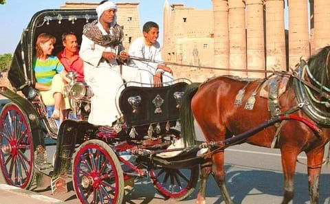 Private Horse Carriage Tour of Luxor's Historic Streets