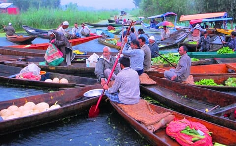Luxury 6-Day Kashmir Tour with Houseboat Stay from Srinagar