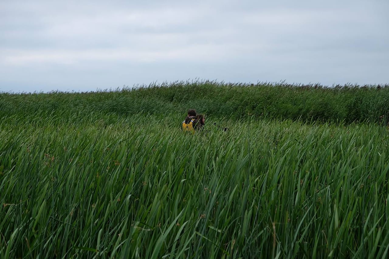 BIRDWATCH - Premium guided canoe tour at Cape Vente, Nemunas Delta Regional Park 4