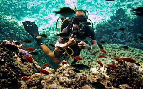 Adventurous Day Trip to Dahab from Sharm El Sheikh