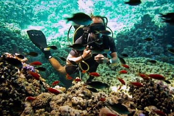 Adventurous Day Trip to Dahab from Sharm El Sheikh