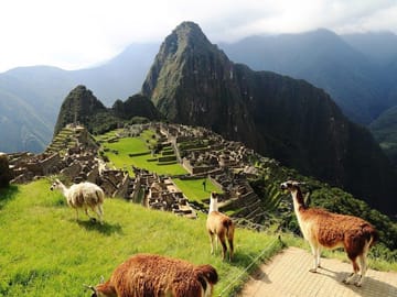 8-Day Cultural Tour of Lima, Cusco, and Aguas Calientes
