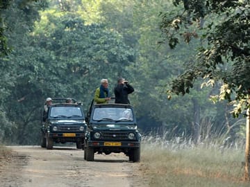 Wildlife Safari Tour in Bandhavgarh, Kanha, Pench & Tadoba