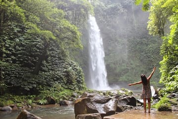 Private Full-Day Tour of West Bali's Waterfalls and Culture