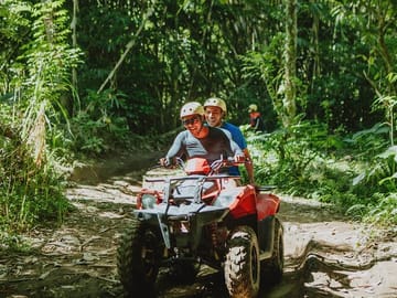 Ride through jungle and bamboo forest
